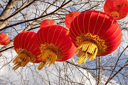 Chinese lanterns on the background of trees without foliage