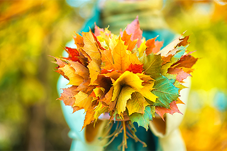 Colorful bouquet of maple leaves in the hands of a girl in an autumn park