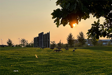 sunset in summer evening
