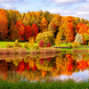 Autumn foliage in park