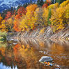 autumn forest by the river, Reflection in water