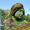 Legend of Aataentsic - ottawa
