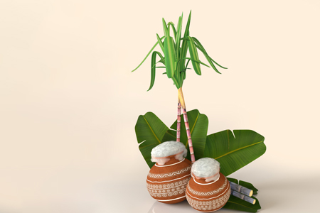 two pongal pots with banana leaf background 