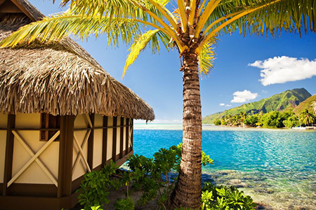 Tropical bungalow and palm tree next to amazing blue lagoon