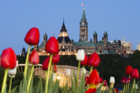 The Canadian Parliament Centre Block and Library seen from across the river in Gatineau with red and