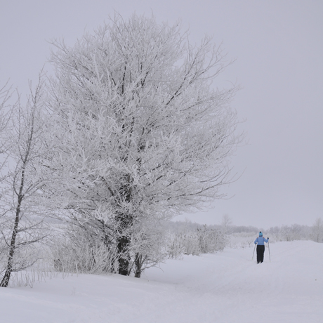 image of Winter