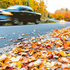 Pickup on countryside road with autumn colors and trees. Blurred car passing, focus on leaves on the