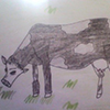 drawing of cow