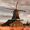 Traditional Dutch windmills with red tulips in Zaanse Schans, Amsterdam area, Holland