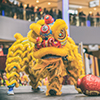 yellow dragon in edmonton chinese new year celebration 2018