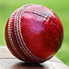 cricket ball on bat