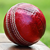 Cricket ball resting on a cricket bat on green grass of cricket pitch