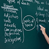 Portrait of woman teacher writing on blackboard in classroom