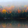 autumn forest behind lake