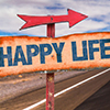 Happy life sign with arrow on a highway background