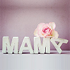 mama text white wooden blocks with pink flower