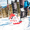 Two climbers in snowshoes are in the mountains in the winter against fir trees, climbing two men wit