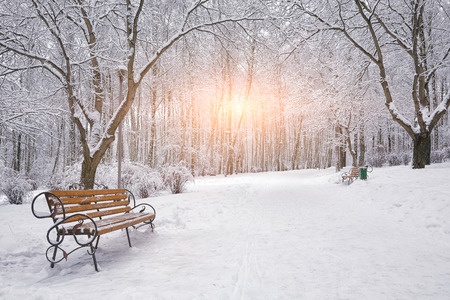 beautiful winter scene - snow covered ground and greens with bench