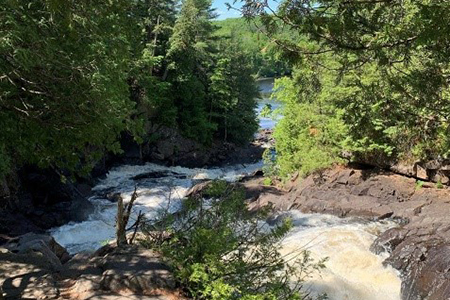 water and trees in algonquin park