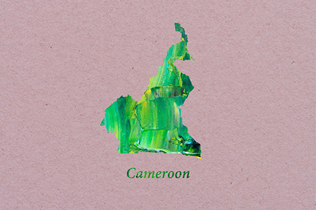 Artistic Map of Cameroon