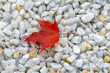 maple leaf on white stones