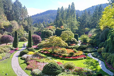 Floral garden in Butchart Gardens, Victoria