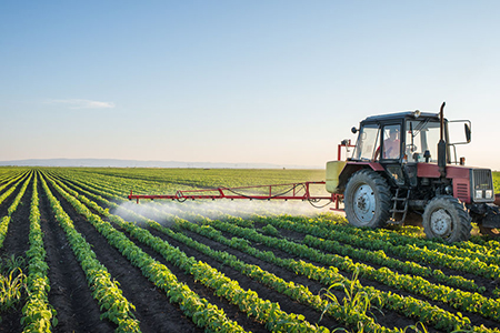 Tractor spraying soybean field at spring