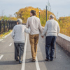 An elderly couple walks in the park with a male assistant or adult grandson. Caring for the elderly,