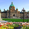 Historic British Columbia provincial parliament building with spring tulips, Victoria, BC, Canada