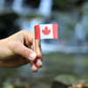 Colour man has in hand national flag of canada on wooden stick. he waves with state symbol near a ri