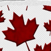 Canadian Red Maple Leafs Torn Background with text Thank You, Thank You From Canada