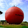 big apple in Colborne, Ontario