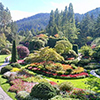 Floral garden in Butchart Gardens, Victoria