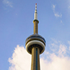 cn tower juxtaposed with red maple tree