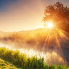 Fantastic foggy river with fresh green grass in the sunlight. sun beams through tree. dramatic color