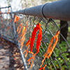 orange knit ribbon tied on fence - hundreds more in background
