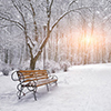 Snow-covered trees and benches in the city park. Sunset