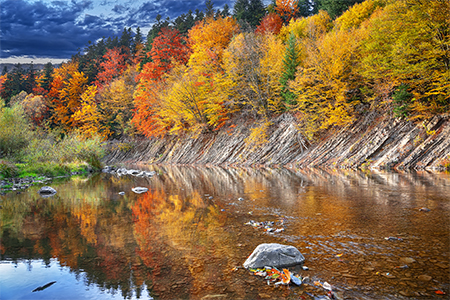 autumn forest by the river, Reflection in water