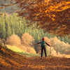 hiker walking under the rays of the morning sun in the mountain forest