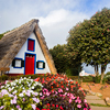 Aged residential cottage, surrounded by a vibrant landscape of park
