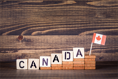 Immigration concept - Wooden letters 