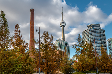 Buildings in Downtown Toronto with CN Tower view, Toronto, Ontario