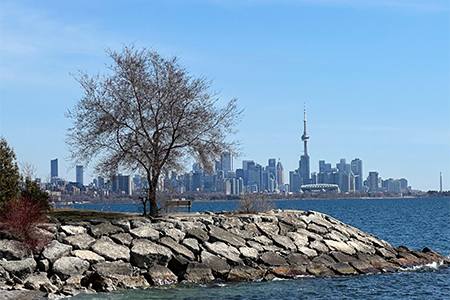 Toronto Skyline in the evening from Humber bay park