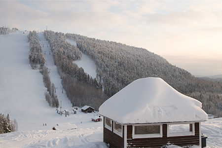 Winter landscape on the mountain with trees in the snow in the background