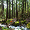 Hiker near beautiful waterfall in Canadian mountains