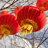 Chinese lanterns on the background of trees without foliage