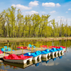 Colorful catamarans stand in a row at the wooden pier; on an early spring or summer sunny morning