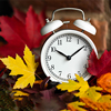 Autumn composition with retro alarm clock and bright leaves