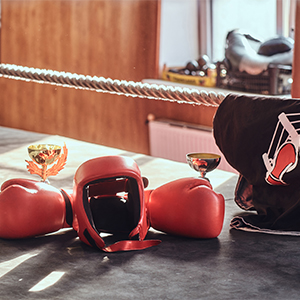 There are prizes on sunny boxing ring - cups and tshirt, and also equipment like red gloves and helm