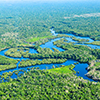 Aerial view of the Amazon 